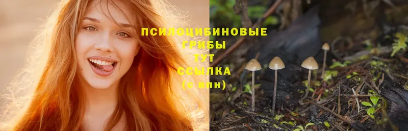 купить наркотики сайты  hydra как войти  Псилоцибиновые грибы Cubensis  Лебедянь 